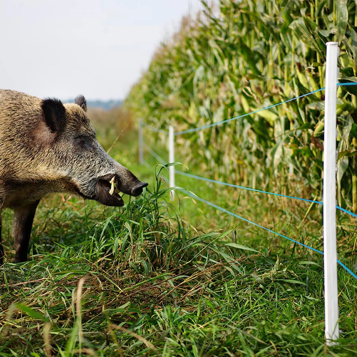 TurboLine Litze 400m