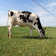 Spezial Stahldraht - 1250 m