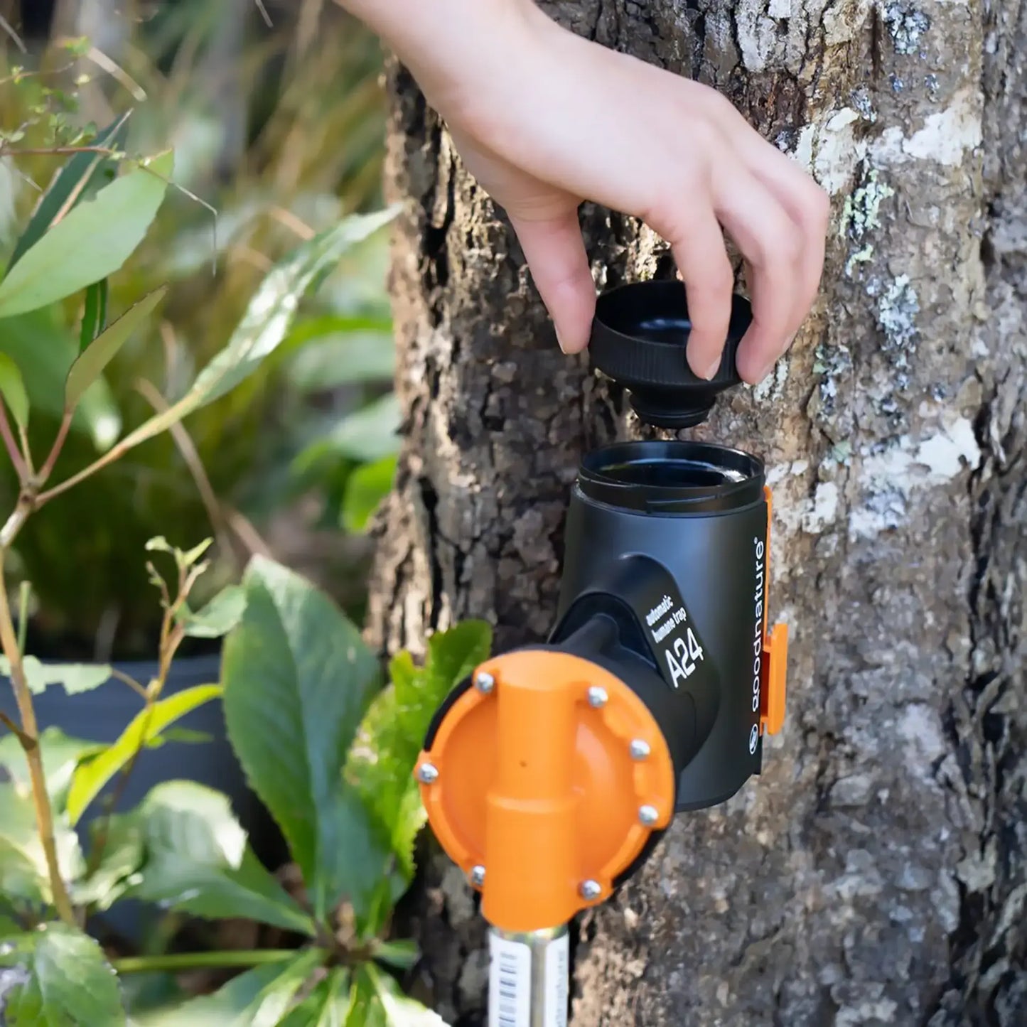 A24 Automatische Lockstoffpumpe Schokolade - 4er Pack