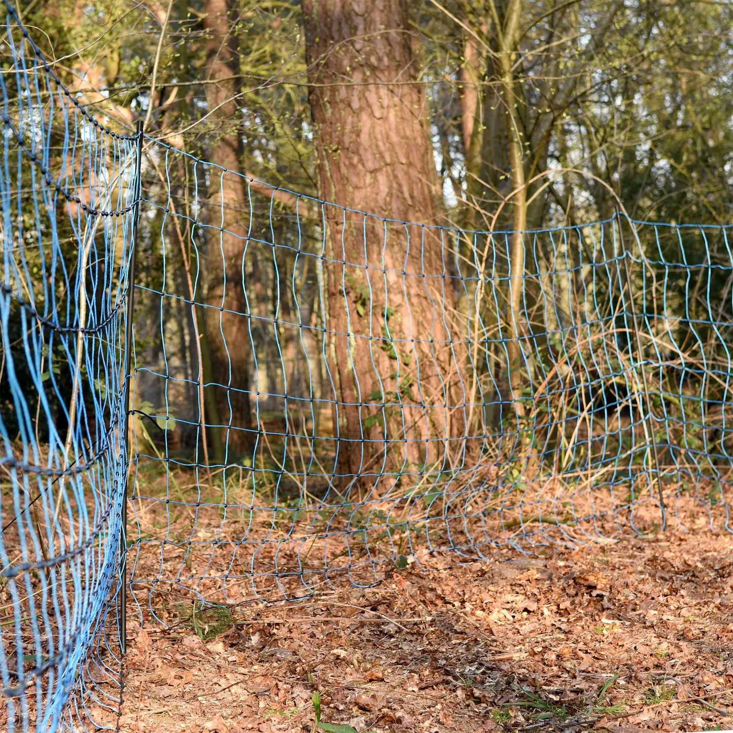 Wolfsnetz, 120/1W14/S-50 m