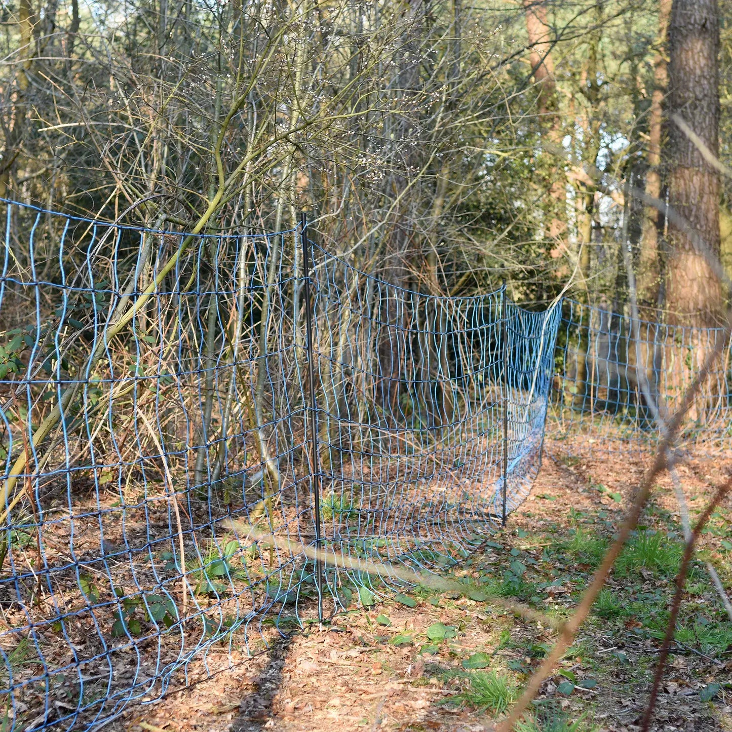 Wolfsnetz, 120/1W14/S-50 m