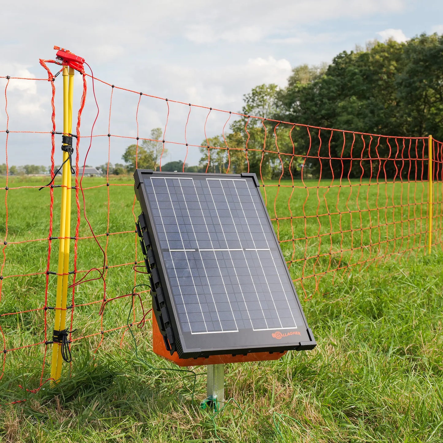 Schafnetz, orange 90/2-14/G-50m