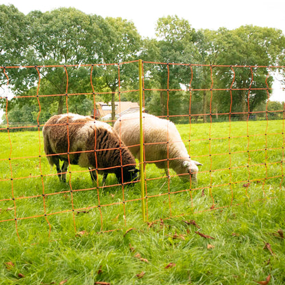 Schafnetz, orange 90/1-14/G-50m