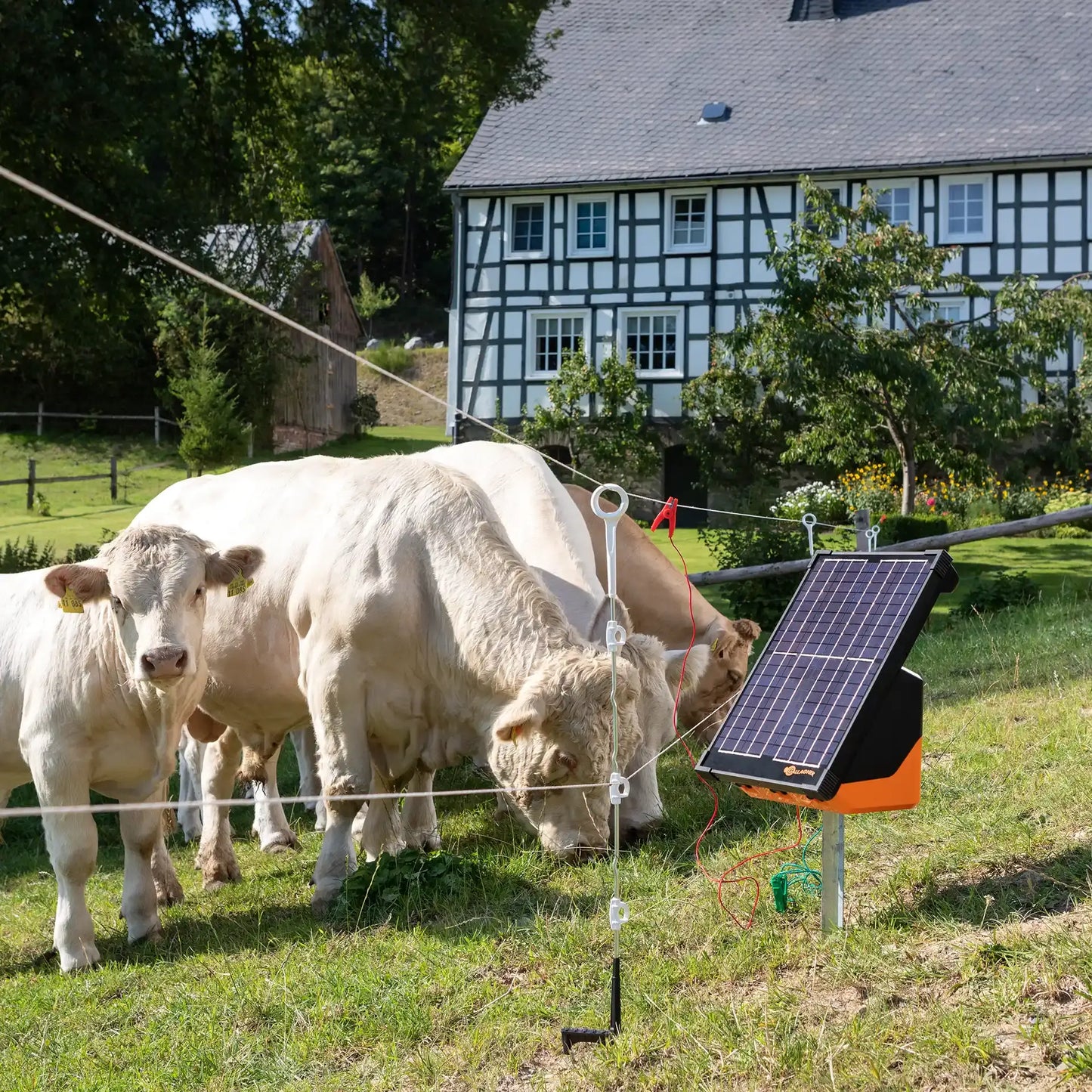 Ersatzisolator Mehrdraht Pfahl 20 Stück