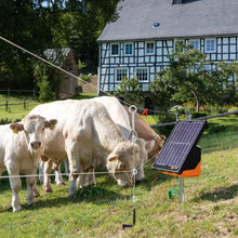 Ersatzisolator Mehrdraht Pfahl 20 Stück