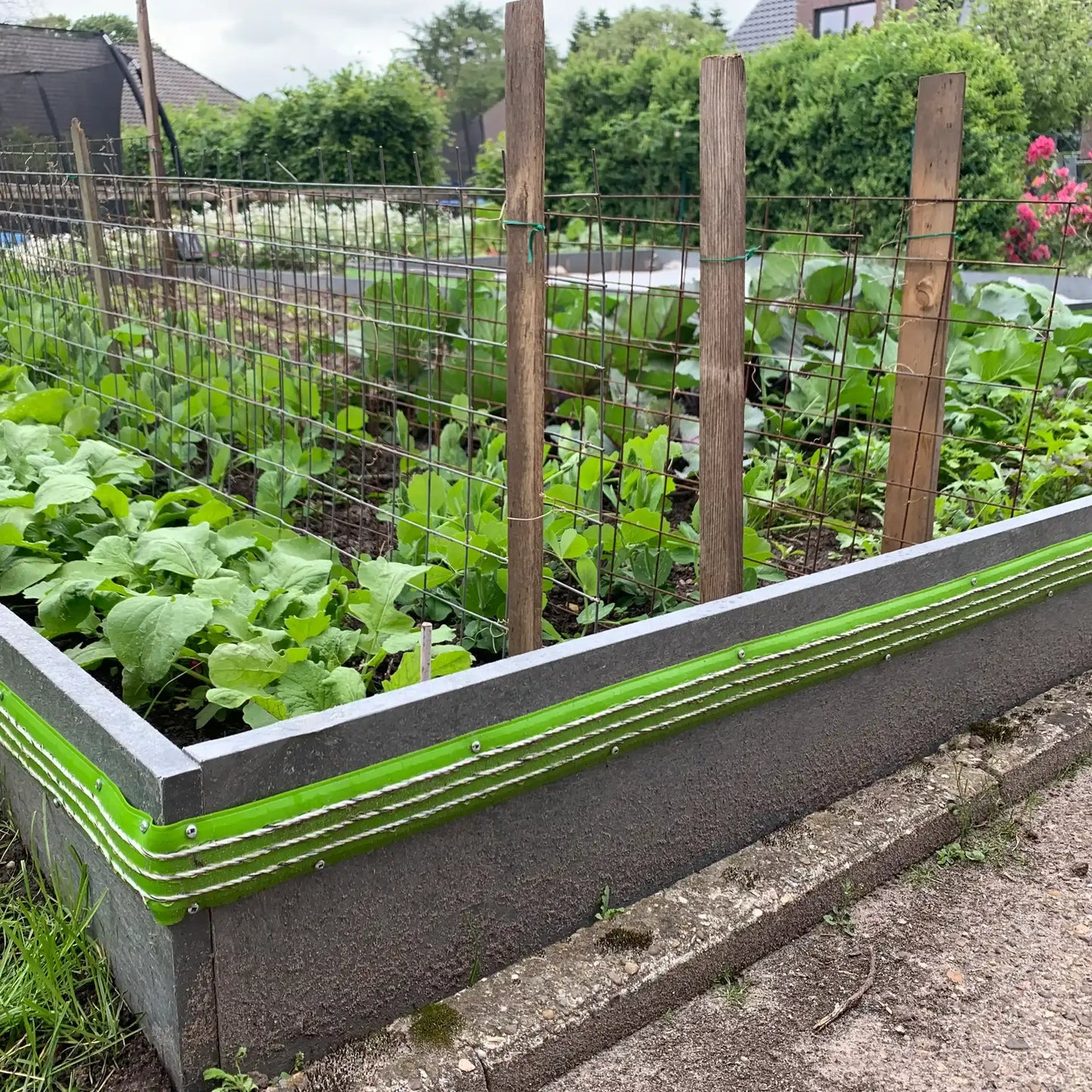 Schneckenzaun Set S6 Solar 20mtr Stück