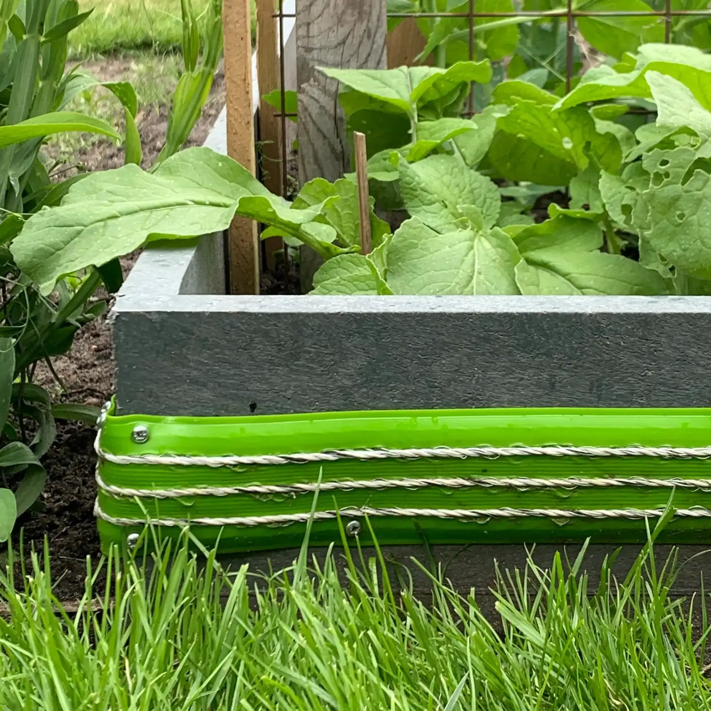 Schneckenzaun Set S6 Solar 20mtr Stück