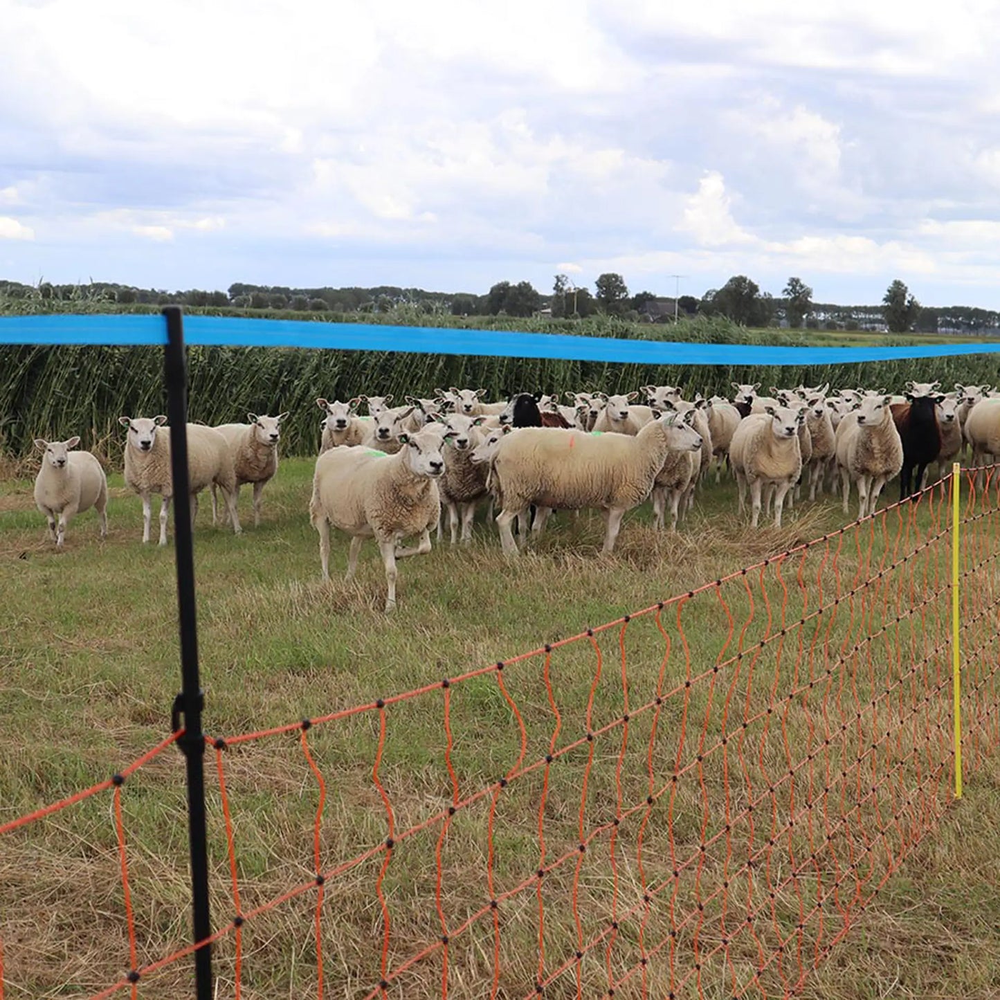 Wolf-Upgrade kit für 90 cm Schafsnetz