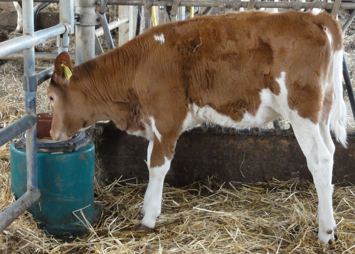 Schwimmerbecken Mod. 43A heizbar