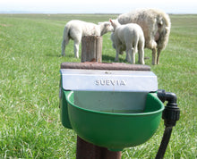 Schwimmerventil-Becken Modell 130P