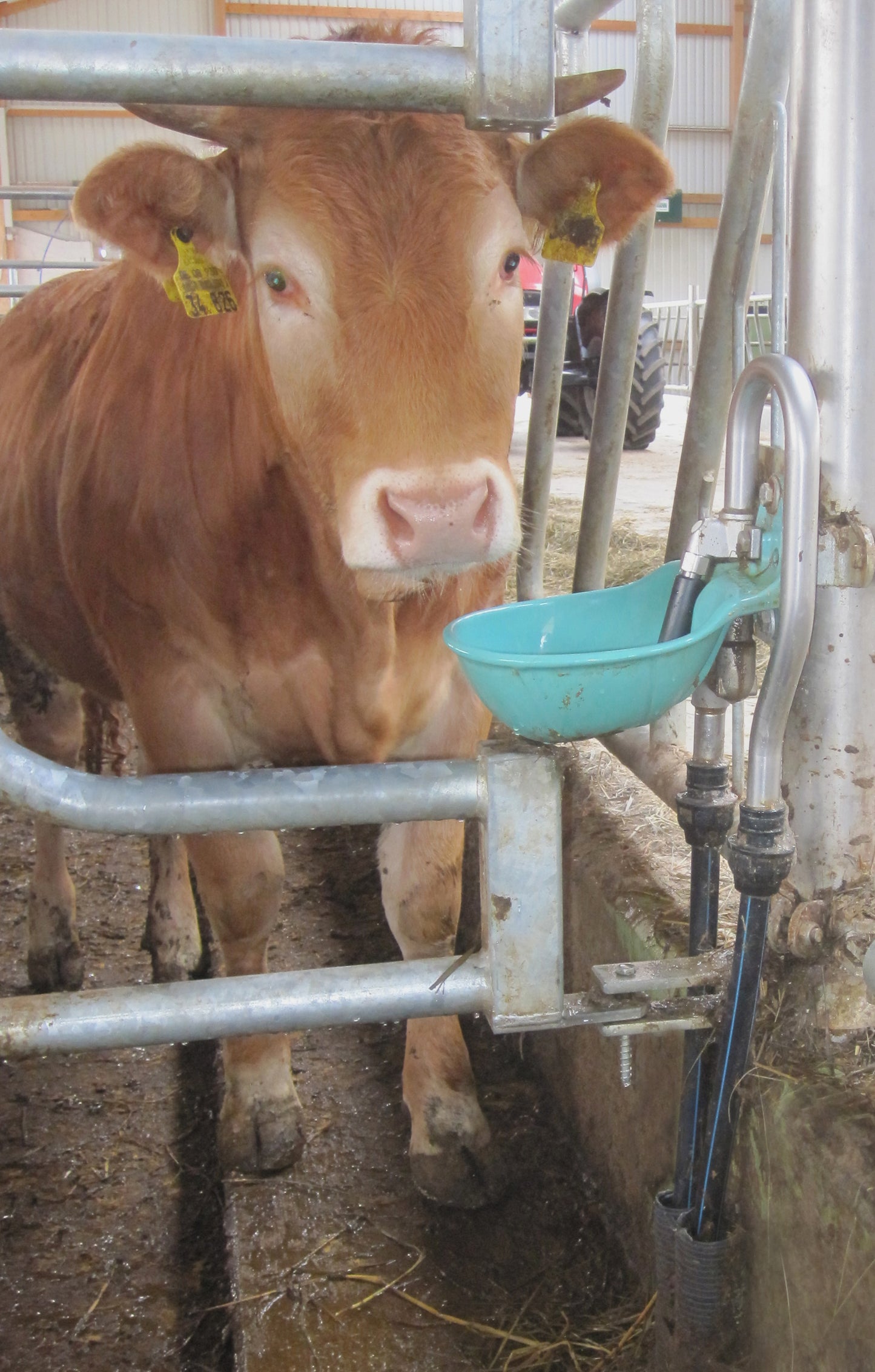 Rohrventil-Becken Modell 25R