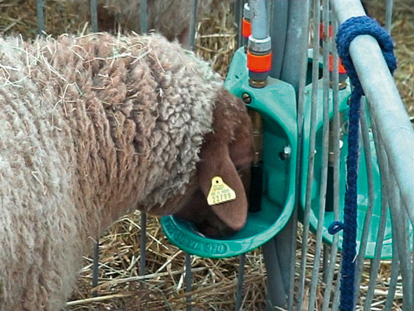 Rohrventil-Becken Mod. 370