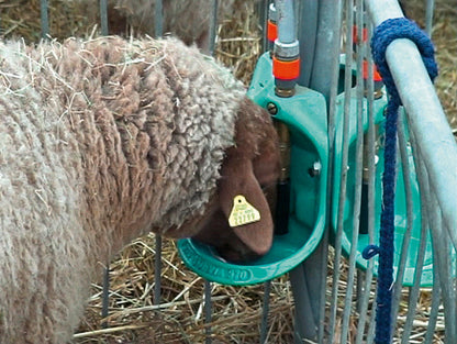 Rohrventil-Becken Mod. 370