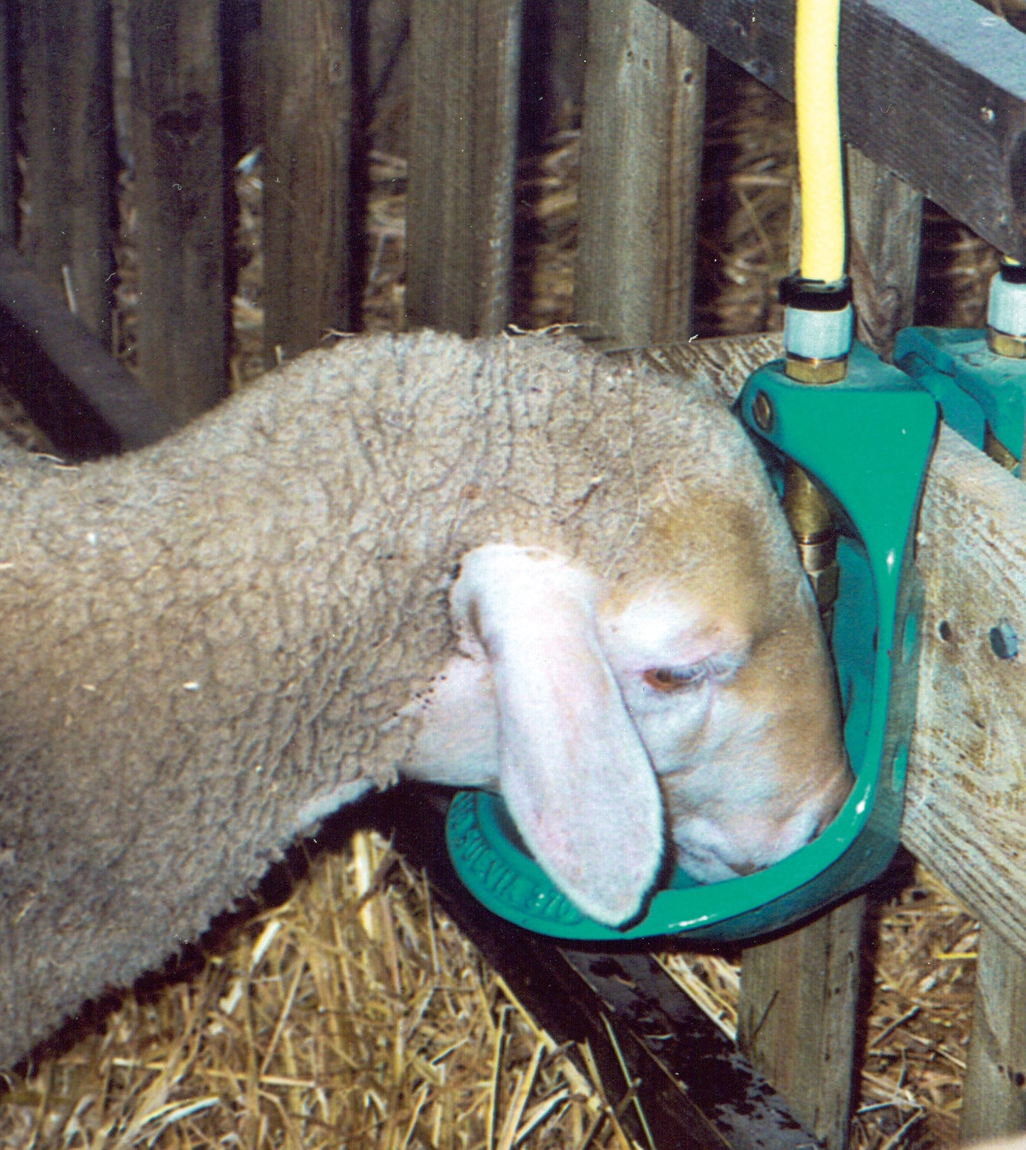 Rohrventil-Becken Mod. 370