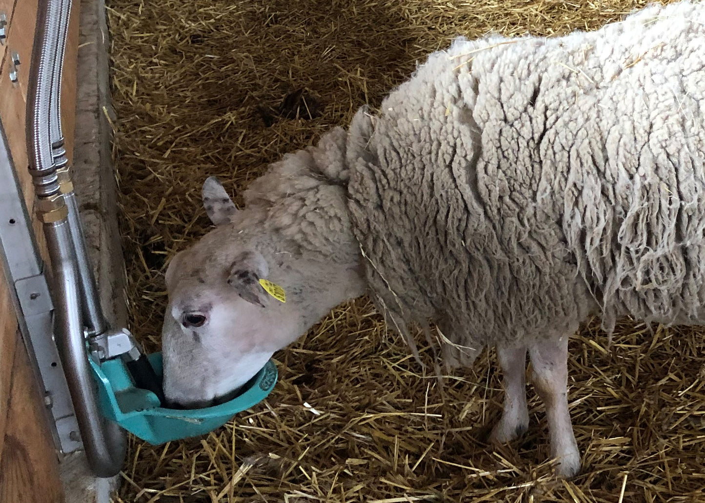 Rohrventil-Becken Modell 375