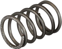 Ventilfeder Suevia (Servicepack 10 St./Pack)