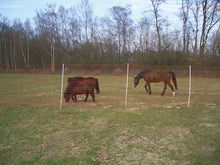 Euro-Netz Mustang 145/2 50m mit engen Maschen