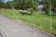 Euro-Netz Wolfsnetz JUMBO 120/2 Wildverbiss