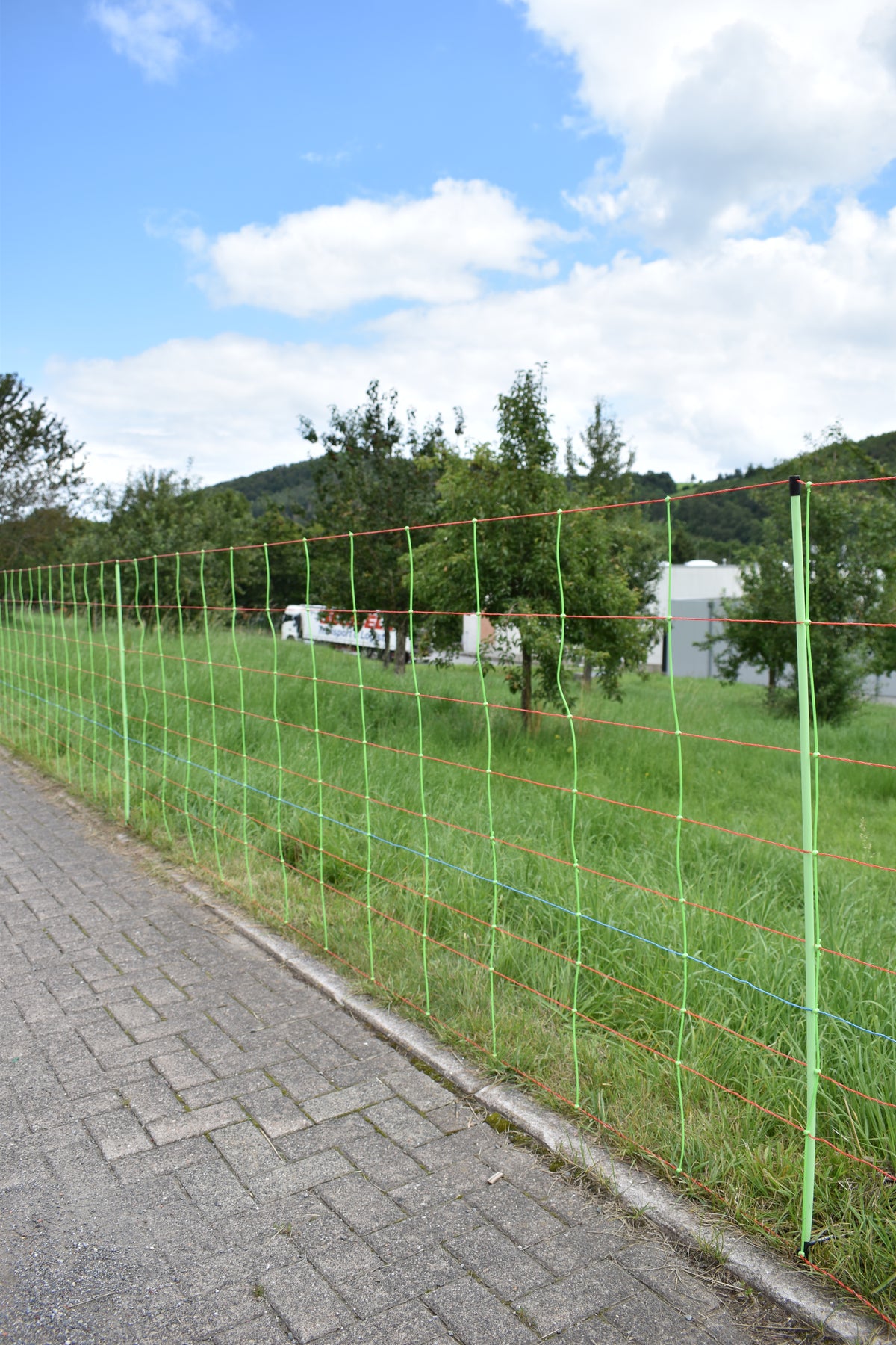 Euro-Netz Rapid Kombi 120/2, 50 m, mit Kupferleiter
