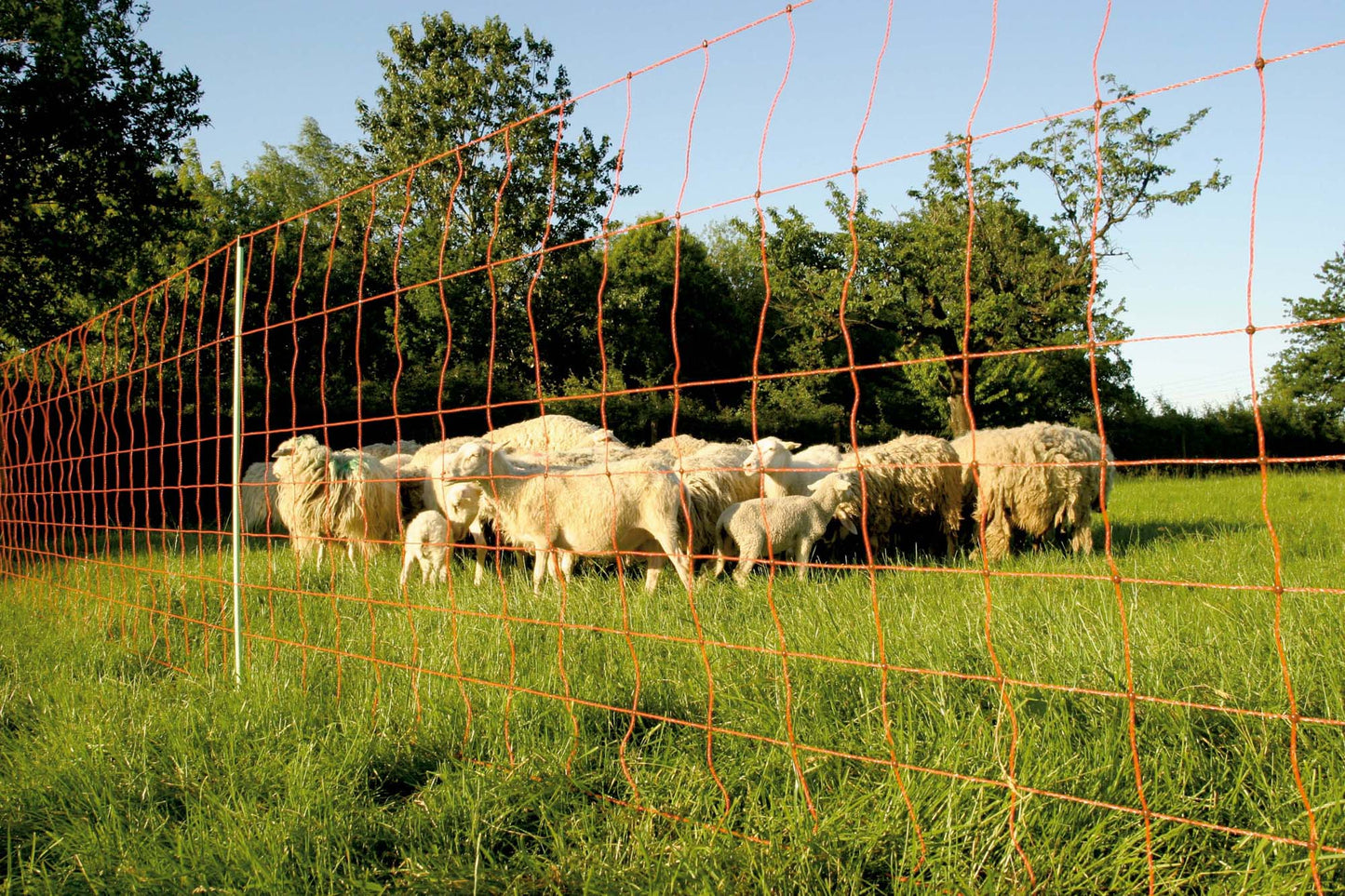 Euro-Netz Wolfsnetz JUMBO 106/2 Wildverbiss