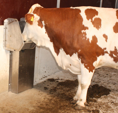 Trogtränke mit Schwimmerventil