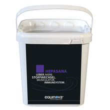 Equinova Hepasana 3 kg