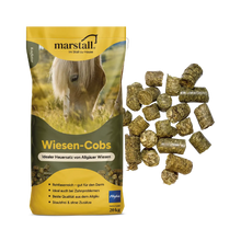 Marstall Wiesen-Cobs 20 kg