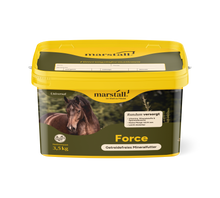 Marstall Force