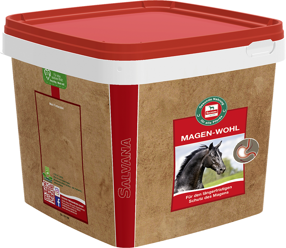 Salvana Magen-Wohl 3 kg