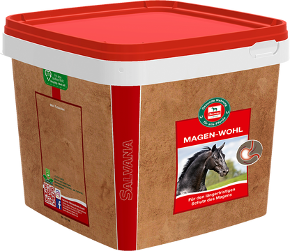 Salvana Magen-Wohl 3 kg