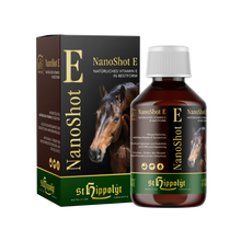 St. Hippolyt WES Nanoshot E 300 ml