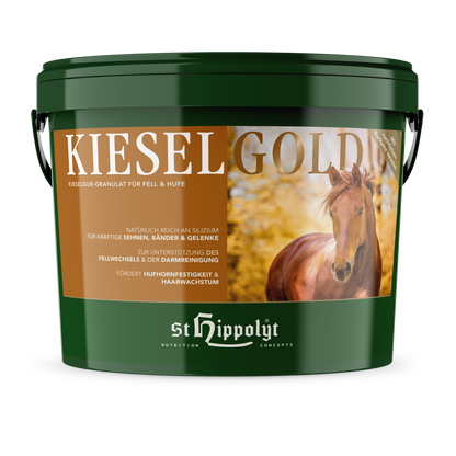 St. Hippolyt Kieselgold