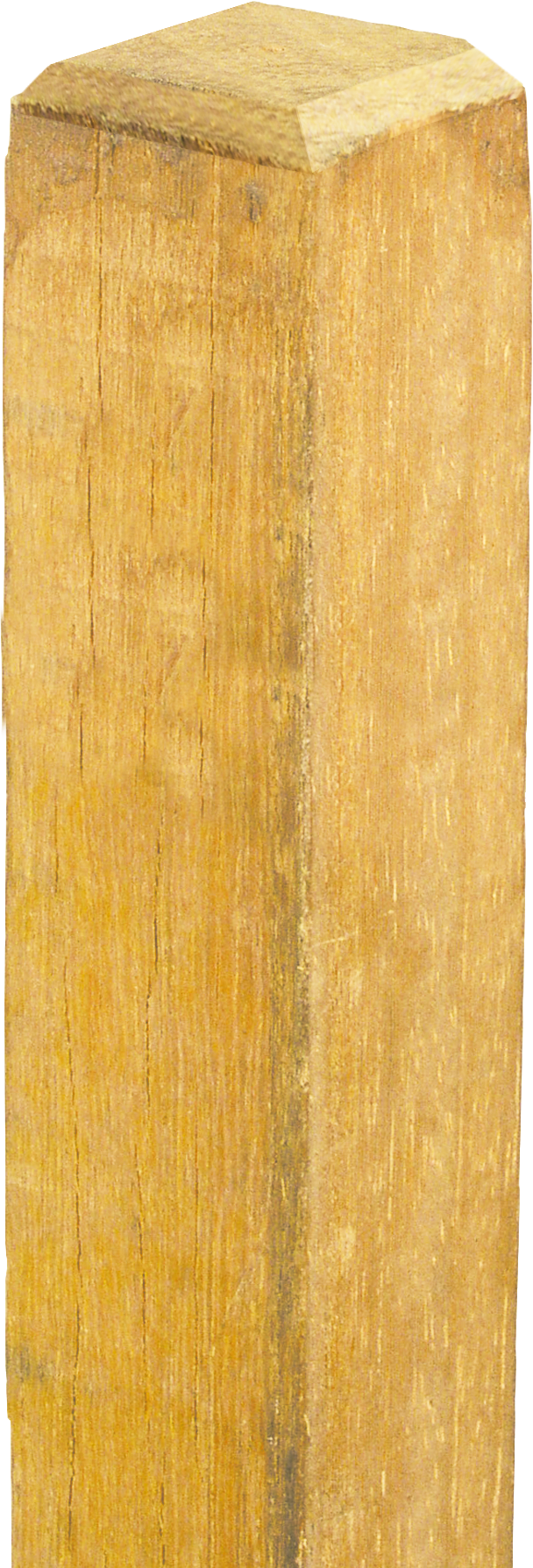 Robinienpfahl, vierkant