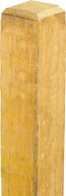 Robinienpfahl, vierkant