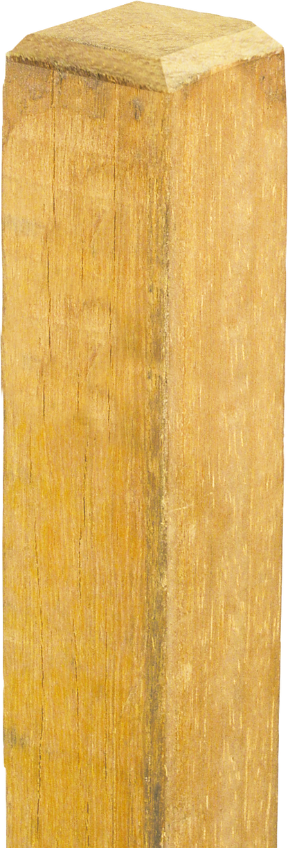 Robinienpfahl, vierkant