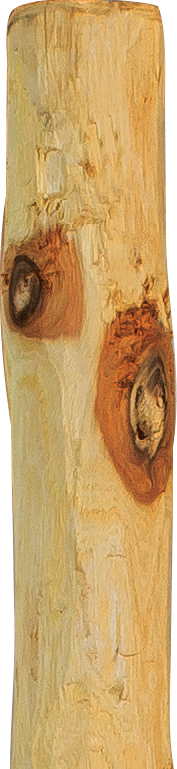 Robinienpfahl, rund, Ø 6 - 8 cm