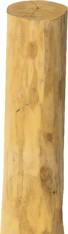 Robinienpfahl, rund, Ø 16 - 18 cm