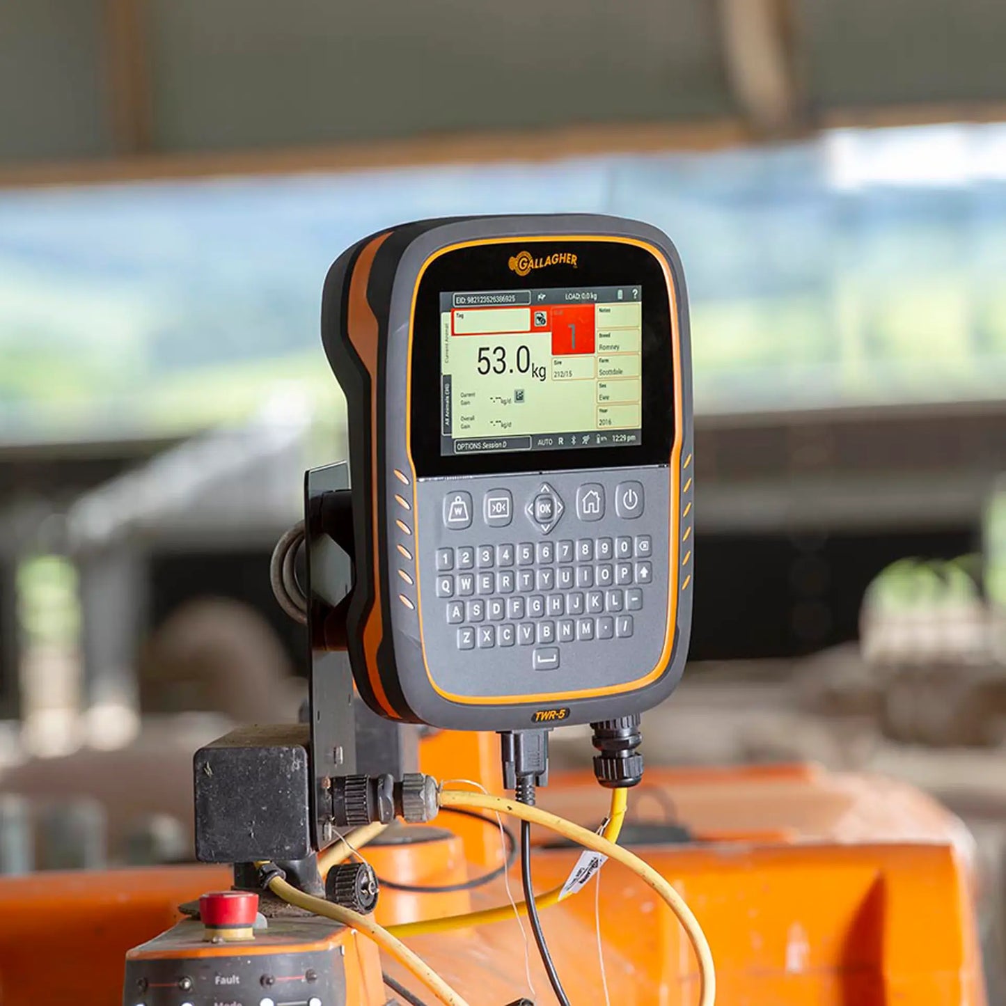 TWR-5 Waage und Datensammler/EID Leser