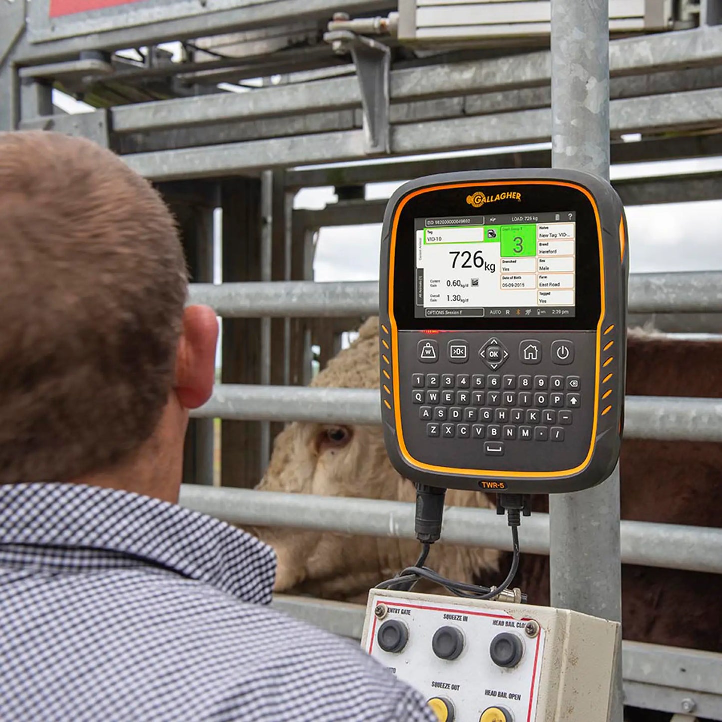 TWR-5 Waage und Datensammler/EID Leser