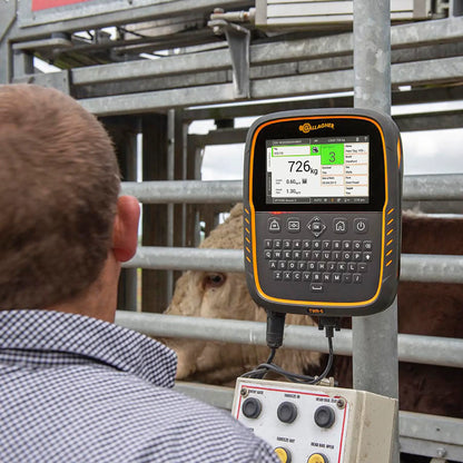 TWR-5 Waage und Datensammler/EID Leser