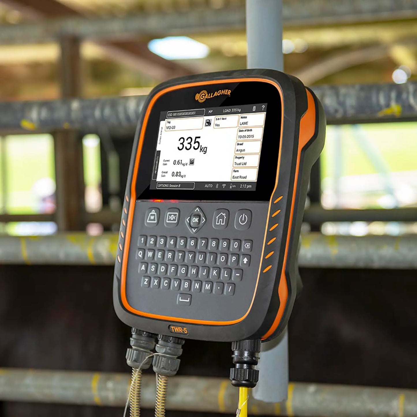 TWR-5 Waage und Datensammler/EID Leser