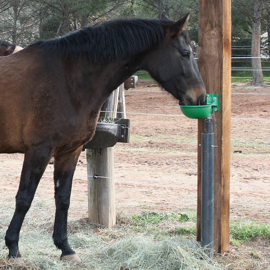 Zungenventil-Becken Forstal