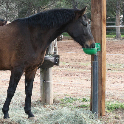 Zungenventil-Becken Forstal