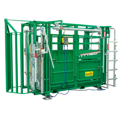 Behandlungsstand A6000