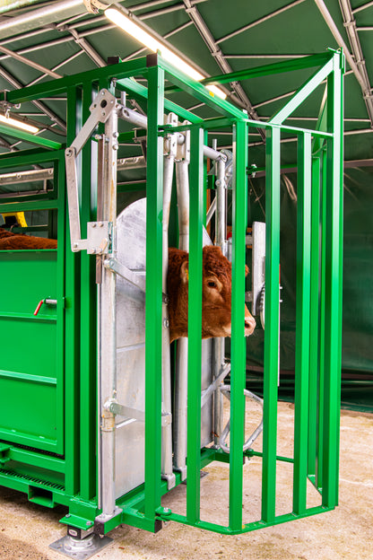 Behandlungsstand A6000