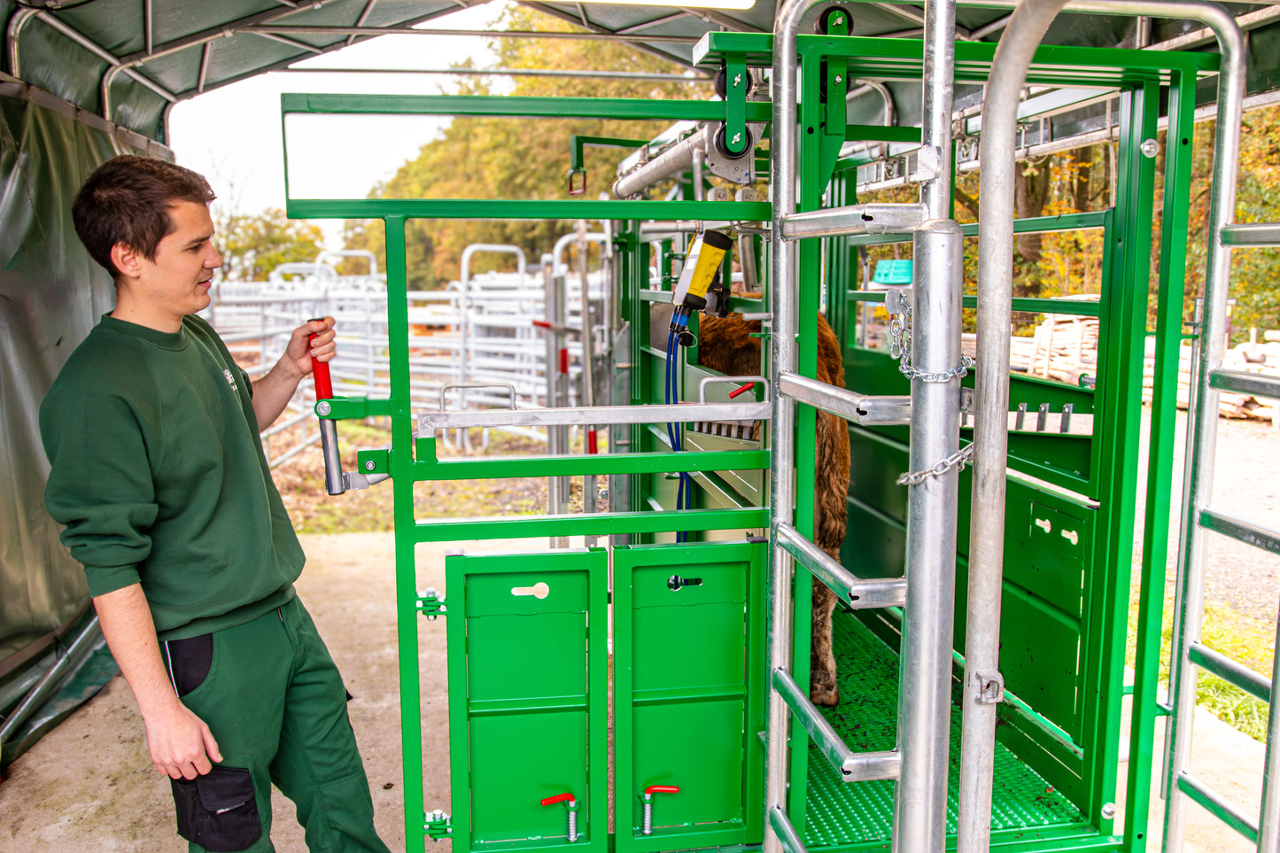 Behandlungsstand A6000