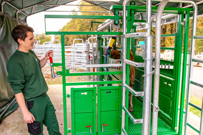 Behandlungsstand A6000