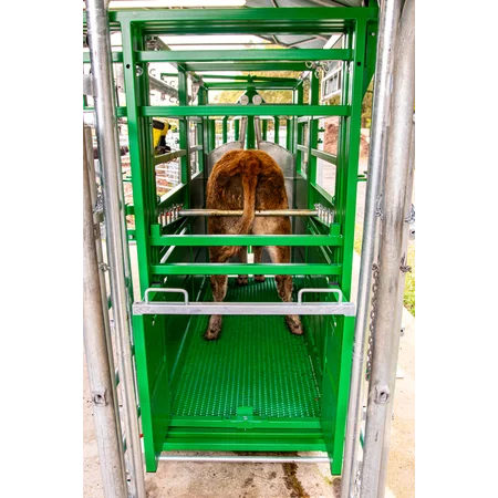 Behandlungsstand A6000