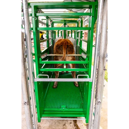 Behandlungsstand A6000