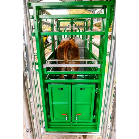Behandlungsstand A6000